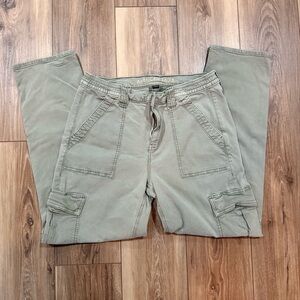 American Eagle Stretch Cargo Pants Sage Green Utility Straight Leg Size 14
